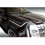 ピンストライプ